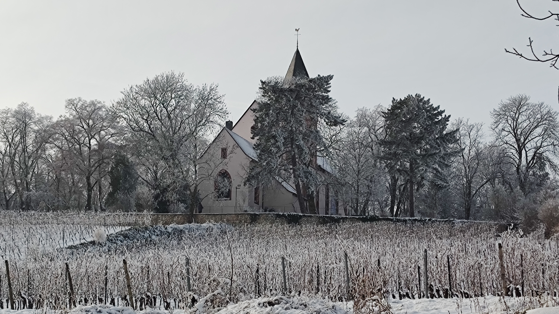 Fr Osthofen